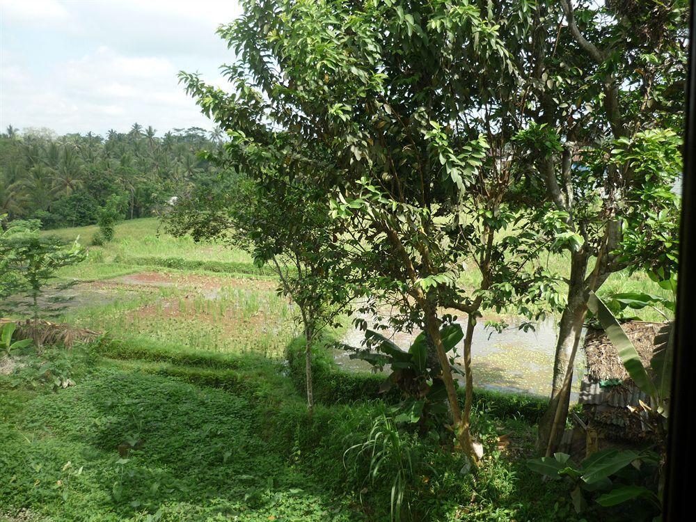 Kudos Guesthouse Ubud Eksteriør billede