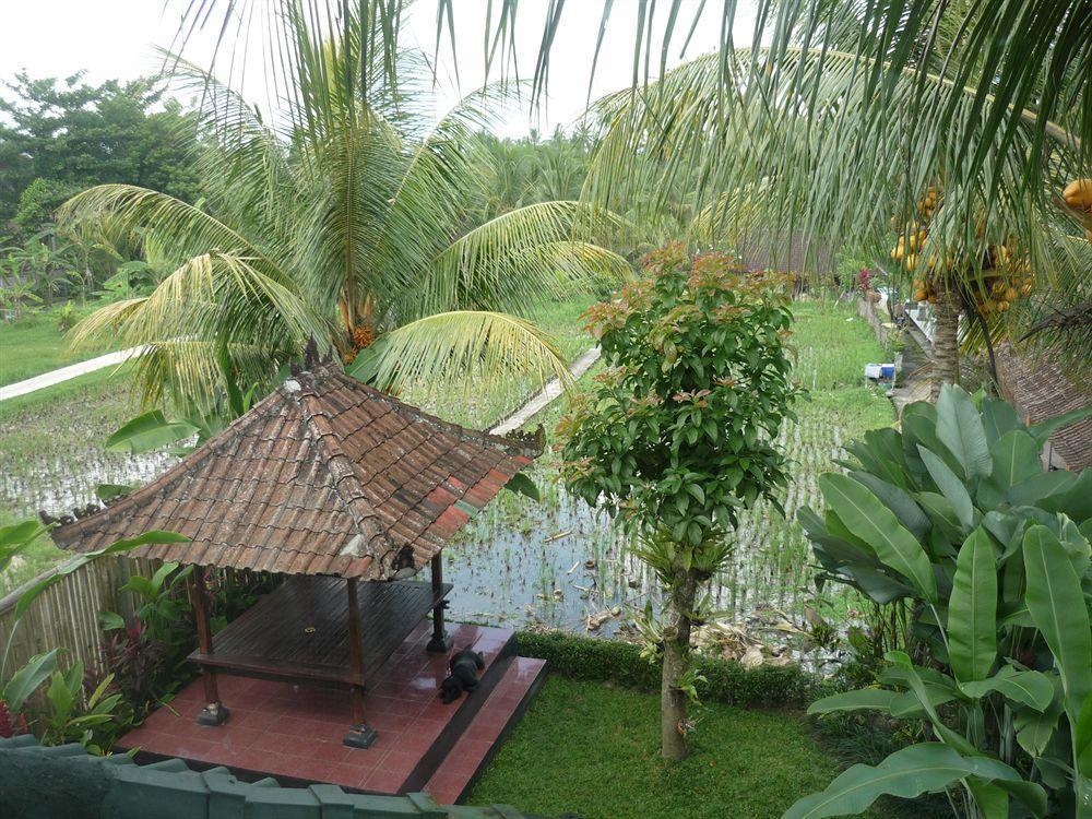 Kudos Guesthouse Ubud Eksteriør billede